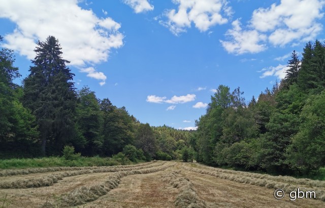 OberbergHeute.de / News